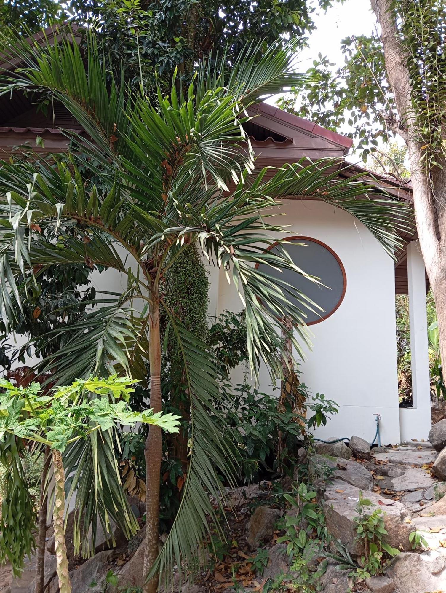Crocus Garden Villa Haad Yao Exterior photo